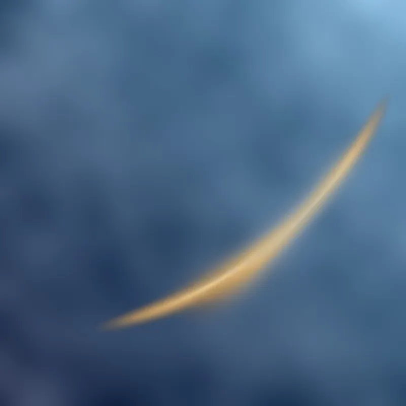 An ascending gold path, marking the stages of working with EAGL Rise from a first conversation to measurable growth
